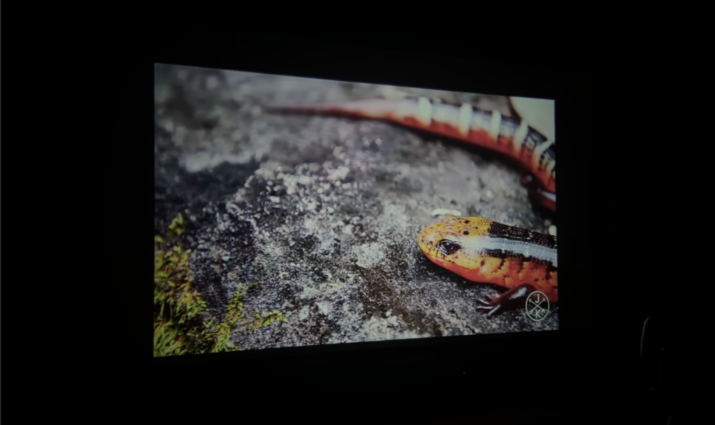 Progaga PG370 é bom? Review completo do mini projetor custo-benefício com testes reais