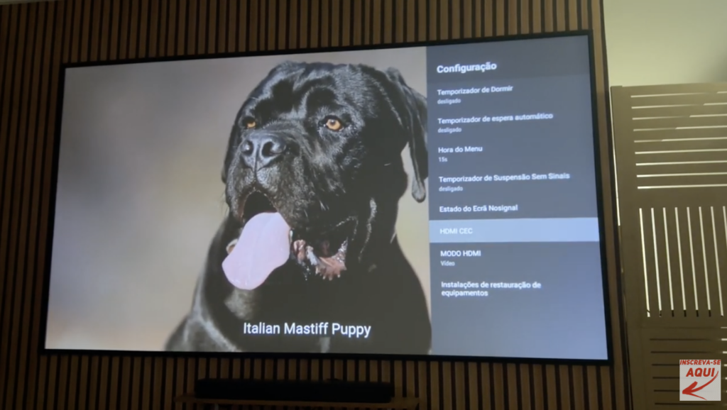 Thundeal TD80W é bom? Review completo com testes práticos — ainda vale a pena em 2026?